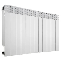 Радиатор отопления Termica TORRID 500/100 - 12 секций