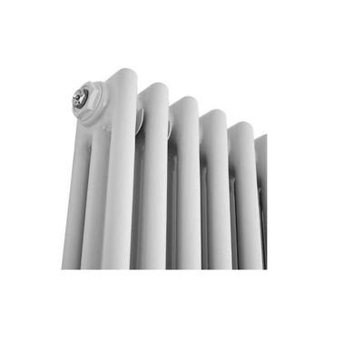 Стальной трубчатый радиатор 3-колончатый IRSAP TESI 30365/08 (RR303650801A430N01) фото #6