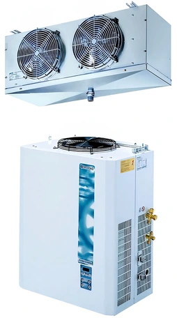 Шоковая заморозка при V камеры 5-9 м³ Rivacold FSL012Z011Winter