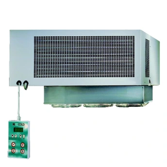 Моноблок с V камеры > 30 м³ Rivacold SFL020Z002