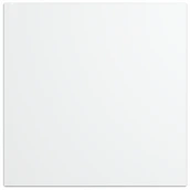 Панель декоративная DiCiTi AEON D100/125 175х175 пластик Matt white