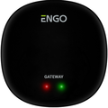 ENGO EGATEZB