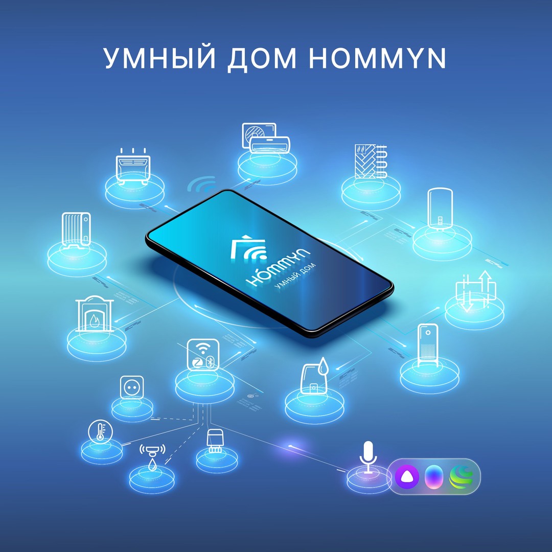 Блок управления Hommyn