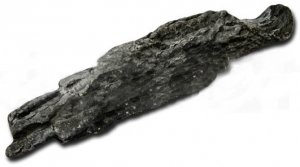 Кора Planika