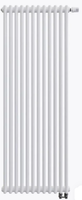 Стальной трубчатый радиатор 2-колончатый Arbonia 2180/10 № 69 ventil oben RAL9016