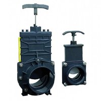 Шиберная задвижка SFA DN50 (50 мм) Шиберная задвижка SFA DN50 (50 мм)