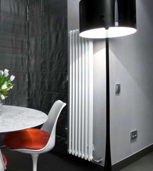Стальной трубчатый радиатор 2-колончатый Arbonia 2150/10 N12 3/4 RAL 9016 фото #3