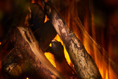 Линейный электрокамин British Fires New Forest 870 with Deluxe Real logs фото #2
