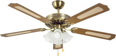 Вентилятор с подсветкой Dreamfan Classic REG 132