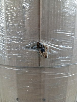 Уцененный газовый накопительный водонагреватель Federica Bugatti INOX Premium WH200 уцененный фото #7