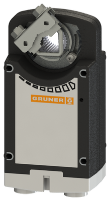 Электропривод   Gruner 361C-024-20-S2
