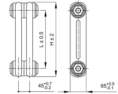 Стальной трубчатый радиатор 2-колончатый IRSAP TESI RR2 2 0200 YY 01 A4 02 1 секция фото #3