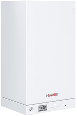 Настенный газовый котел Legacy 100-W A1HB одноконтурный 30 кВт фото #4