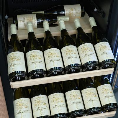 Отдельностоящий винный шкаф 101-200 бутылок MEYVEL MV102-WC1-M (Cold Maple) фото #12