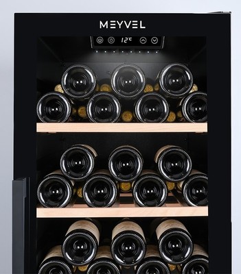 Отдельностоящий винный шкаф 101-200 бутылок MEYVEL MV105-KBF1 фото #7