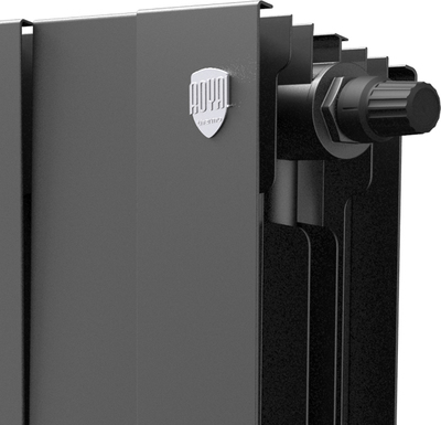 Биметаллический радиатор Royal Thermo PianoForte 300 /Noir Sable - 8 секц. VDR фото #5