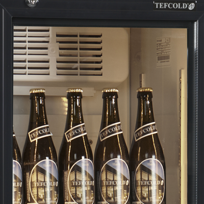 Холодильный шкаф TEFCOLD FSC175H фото #2