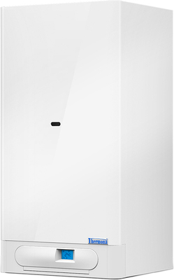 Настенный газовый котел Thermona THERM 10/18 TCLN.A