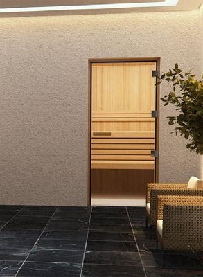 Дверь для паровой Tylo 60G 9x20 (стекло 