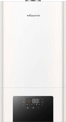 Настенный газовый котел Vanward PIONEER ATMO 21C