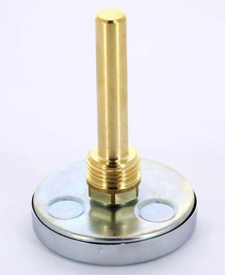 Термометр биметаллический с погружной гильзой Watts F+R801 (T) 80/100 (1/2