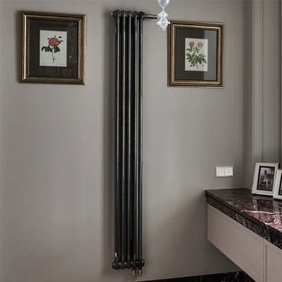 Стальной трубчатый радиатор 2-колончатый Zehnder Charleston Completto 2180/10/V001/RAL 9217 фото #3
