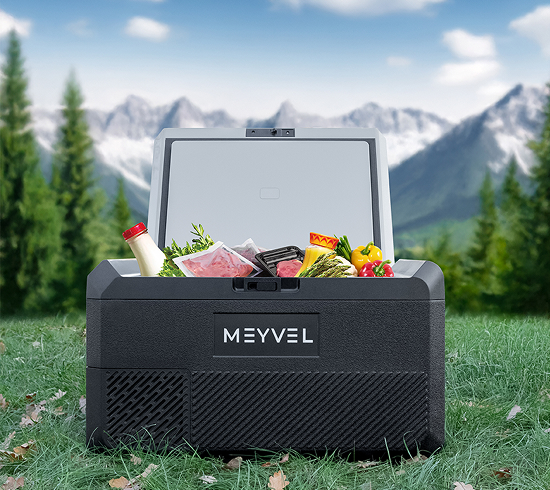 АВТОХОЛОДИЛЬНИК meyvel